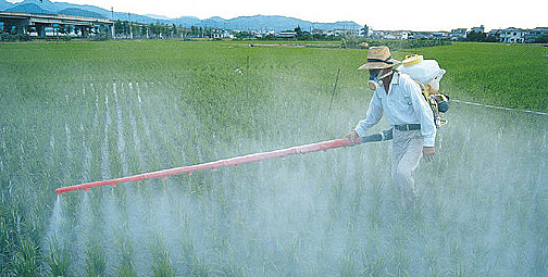 spraying-field